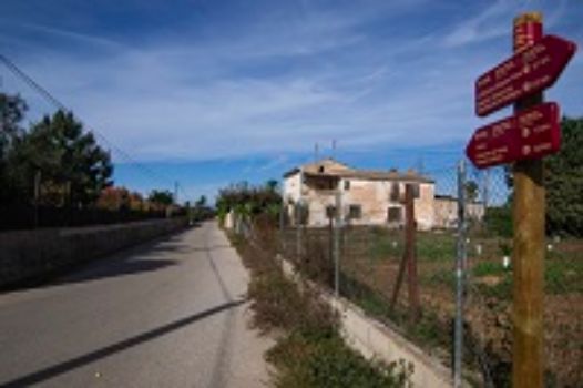 El ramal de Alzira, entre fincas agrícolas