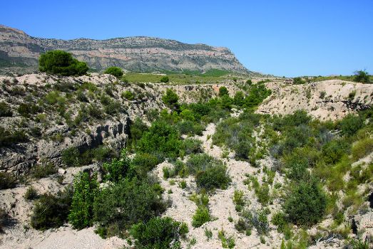 Detalle de la rambla que atraviesa el camino. Al fondo la Sierra del Cid