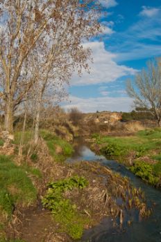 Cauce del río Magro