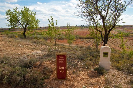 Detalle de punto kilométrico y mojón de vía pecuaria