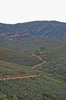 El Camino Natural Turia – Cabriel zigzaguea entre colinas de vegetación arbustiva