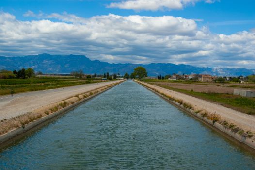 Panorámica del Canal de l'Esquerra de l'Ebre