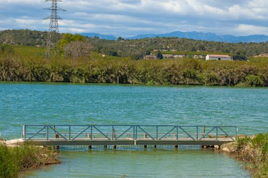 Río Ebro junto a la Estació de Bombeig La Pedrera