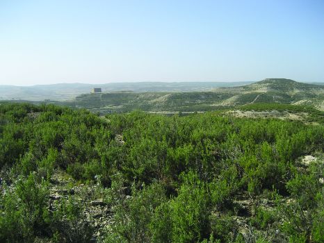Paraje de La Cordera
