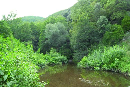 Paso sobre la Riera de Ridaura