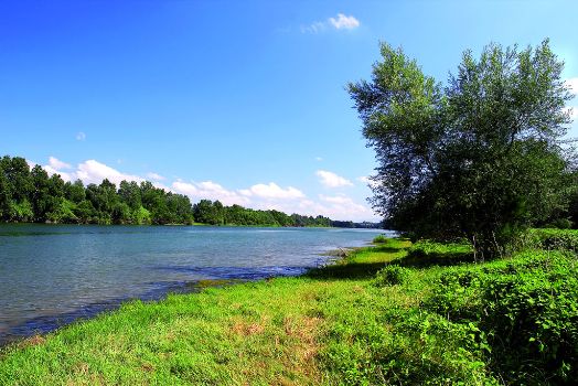 Bajo Ebro. Aldover