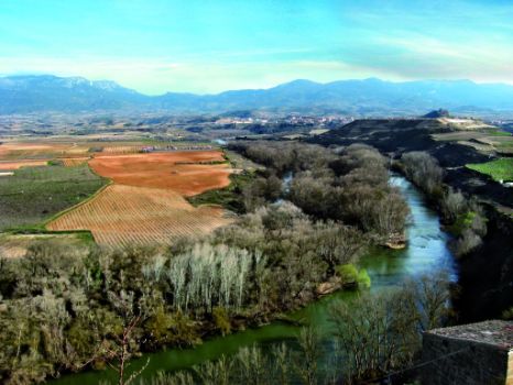 La curva de Briones