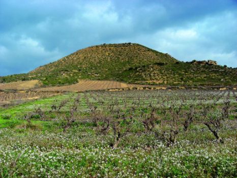 Monte de San Quiles