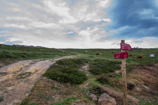 Inicio de la etapa del Monte Hijedo desde la etapa 2.1