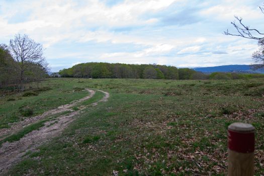 Antes de cambiar de sentido para descender hacia la cabala de Monte Hijedo, se llega a un claro 