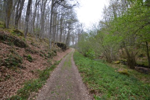 El camino abandona el sendero desdibujado en favor de una pista de buen ancho