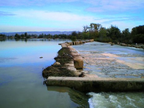 Presa de Pina