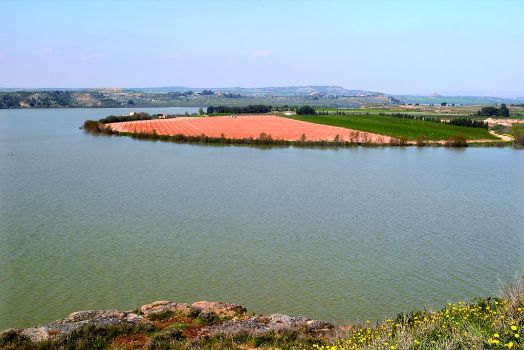 Panorama of the copses. Chiprana