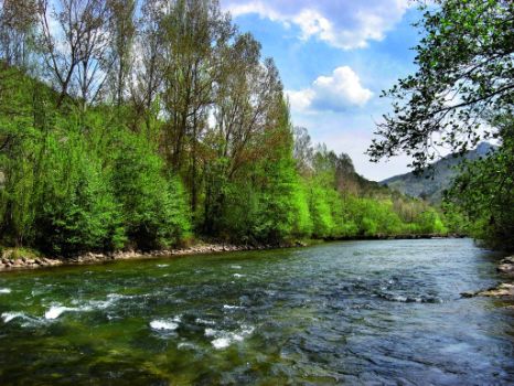 Río Ebro en el valle de Manzanedo