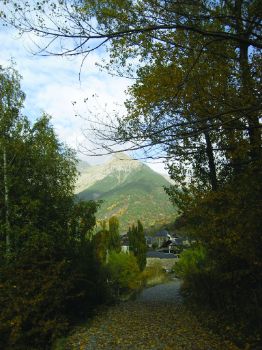 Sendero entre serbales y boj