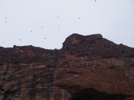 Paredón de los Buitres o Mallo Arcaz