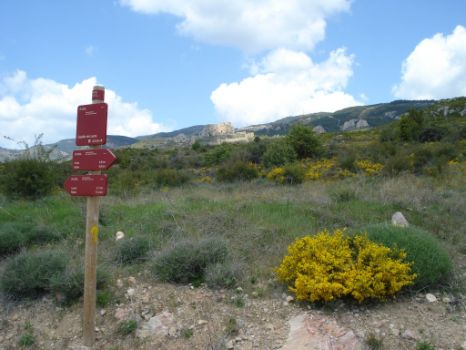 El Castillo de Loarre vigilante desde la pista que une Loarre y Aniés