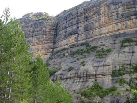 Paredón de conglomerados en la zona del Canal del Palomo