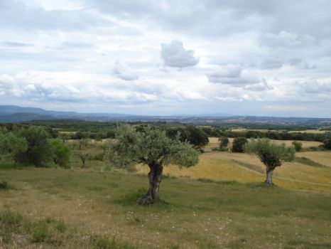 Panorámica general de la comarca del Somontano oscense, a la salida de Ibieca