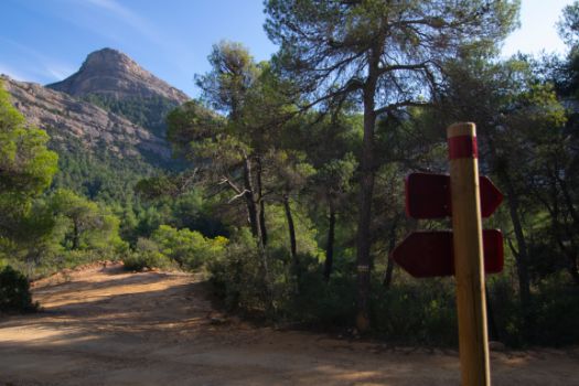 Peña Galera desde el Camino Natural