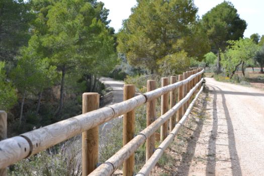 Los dos caminos naturales circulan en paralelo unos metros