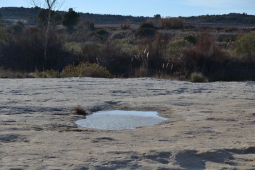 Roca de El Saladar