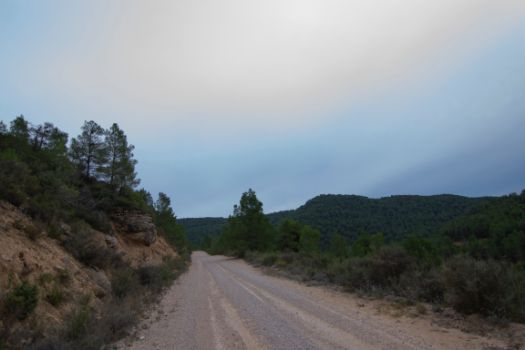 Las laderas aparecen tapizadas de pinares
