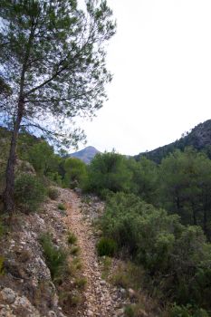 Vistas desde la senda peatonal