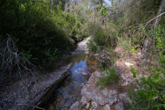 Barranco de la Tremolosa