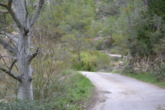 Hasta Beceite, el camino discurre por una carretera asfaltada con tráfico compartido con vehículos