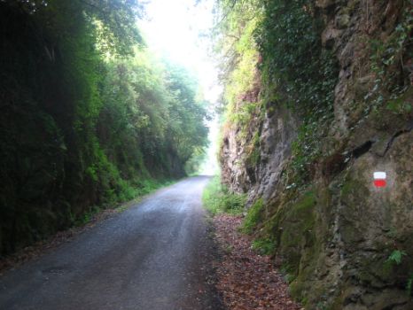 Trinchera excavada en el monte para la plataforma del tren