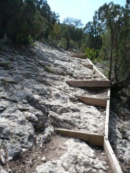 Tramo de bajada al puente colgante entre sabinas negras