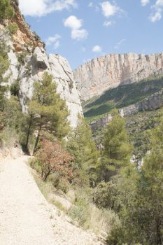 Tramo del camino con vegetación mediterránea típica de la zona