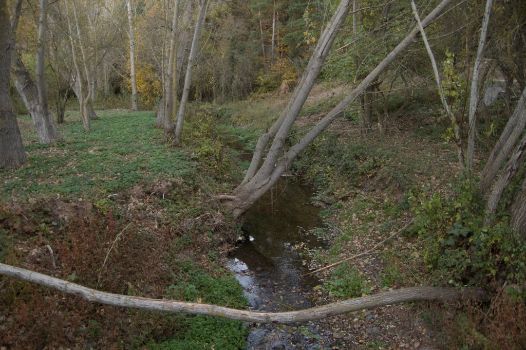 Río Prades