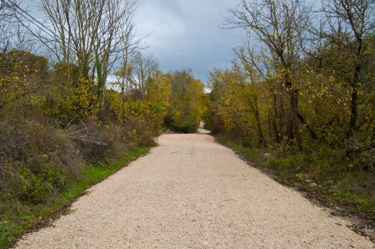 Camino Natural del Plazaola. Tramo Irurtzun - Sarasa