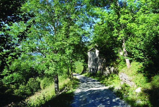 Camino en las cercanías de Vielha