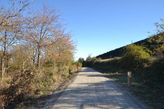 Aspecto del camino en las inmediaciones del hito kilométrico 6