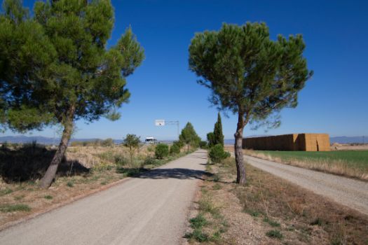 Durante un tramo, el camino discurre entre la carretera y una pista rural