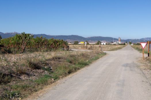 El camino pasa junto a un viñedo antes de alejarse del trazado ferroviario.