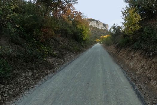 Vegetación acompañante de frondosas caducifolias