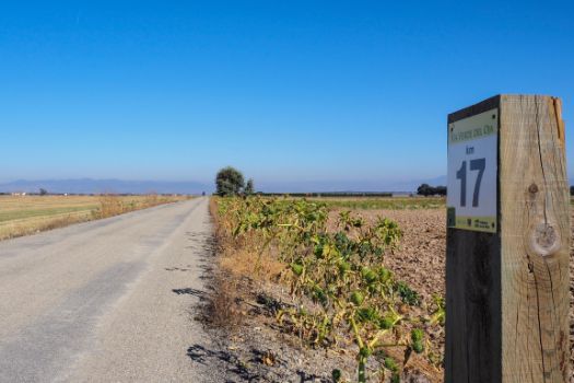 Aspecto del camino en las inmediaciones del hito kilométrico 17