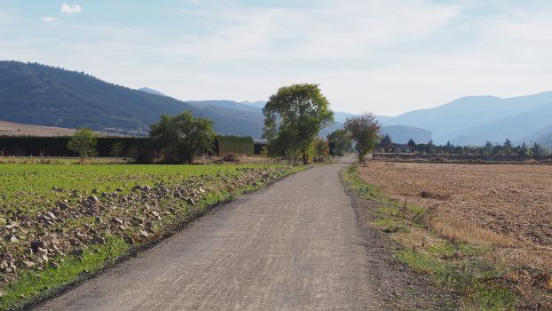 Durante gran parte del recorrido, el camino discurre en un entorno plenamente agrícola