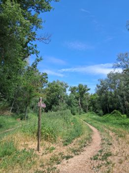 Return from the bird observatory