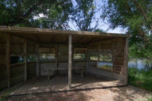 Bird observatory on River Segre section