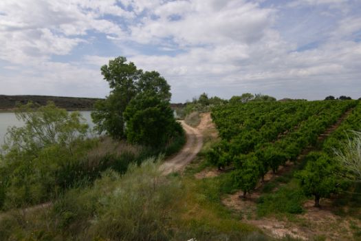 Views of the road and the reservoir from the Molí viewpoint