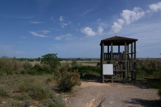 "Observatory of the 19th": an elevated bird observatory