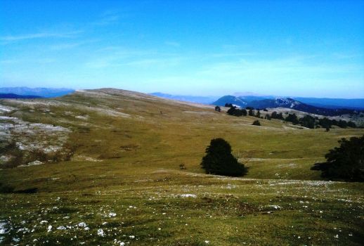 El Raso de Lagaire