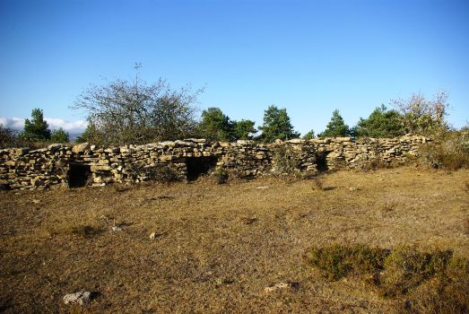 Típico muro de losa con pasos para la fauna