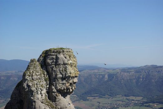El Pico del Fraile sirve de atalaya para especies como el buitre leonado