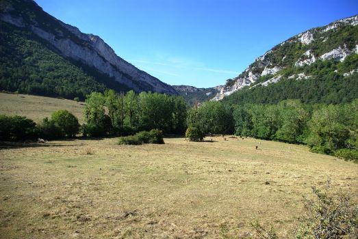 Vista general del desfiladero del río Purón